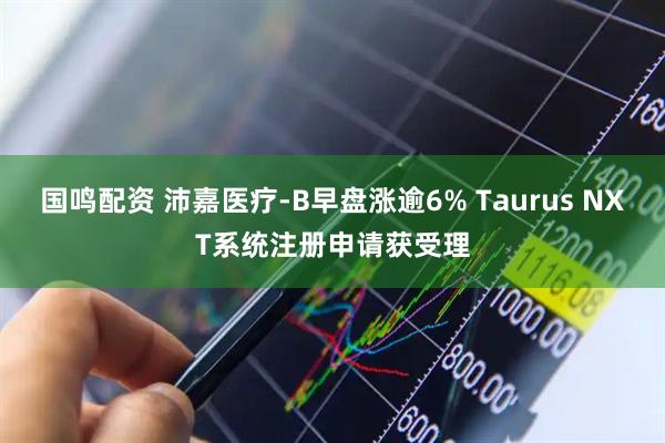 国鸣配资 沛嘉医疗-B早盘涨逾6% Taurus NXT系统注册申请获受理