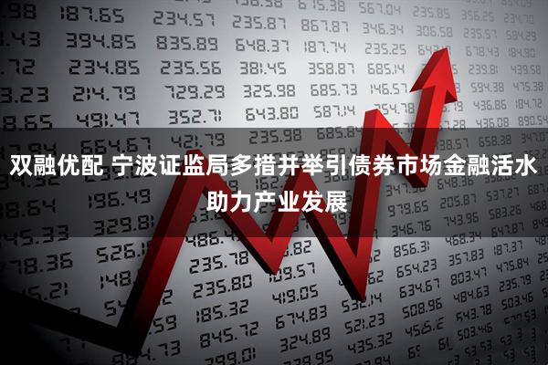 双融优配 宁波证监局多措并举引债券市场金融活水 助力产业发展