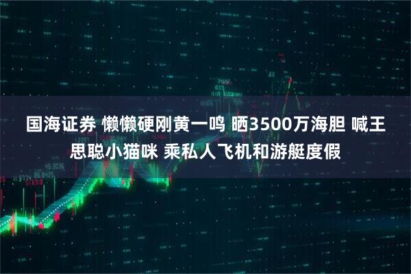国海证券 懒懒硬刚黄一鸣 晒3500万海胆 喊王思聪小猫咪 乘私人飞机和游艇度假