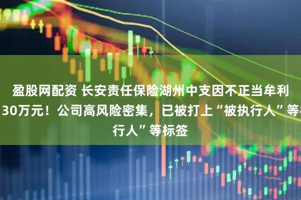 盈股网配资 长安责任保险湖州中支因不正当牟利被罚30万元！公司高风险密集，已被打上“被执行人”等标签